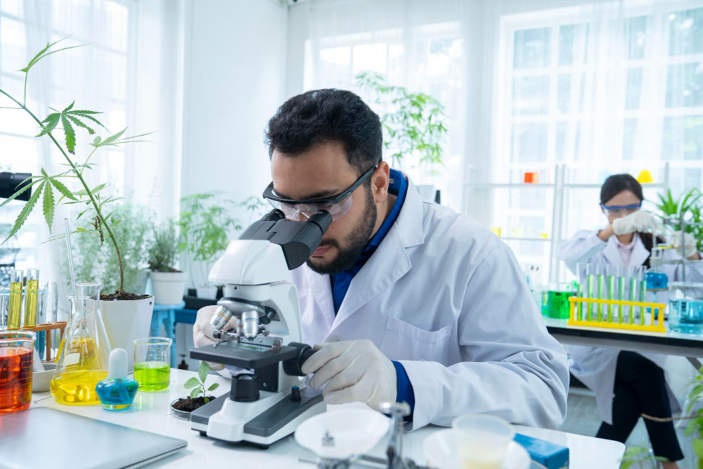 The Science Behind Kefica: Lab-Tested Formulations You Can Trust